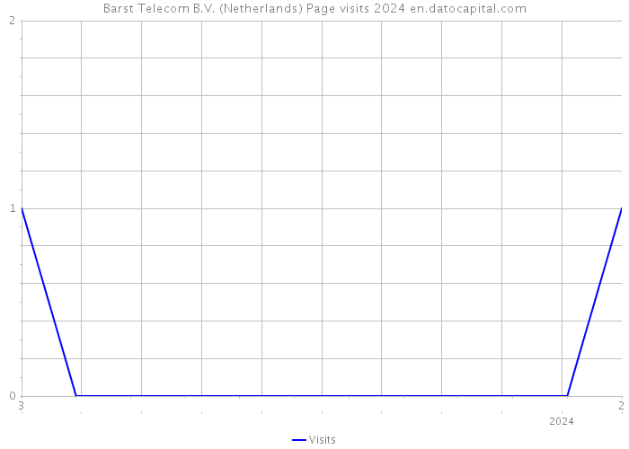 Barst Telecom B.V. (Netherlands) Page visits 2024 
