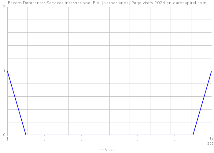 Becom Datacenter Services International B.V. (Netherlands) Page visits 2024 