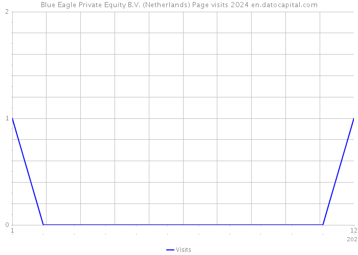 Blue Eagle Private Equity B.V. (Netherlands) Page visits 2024 