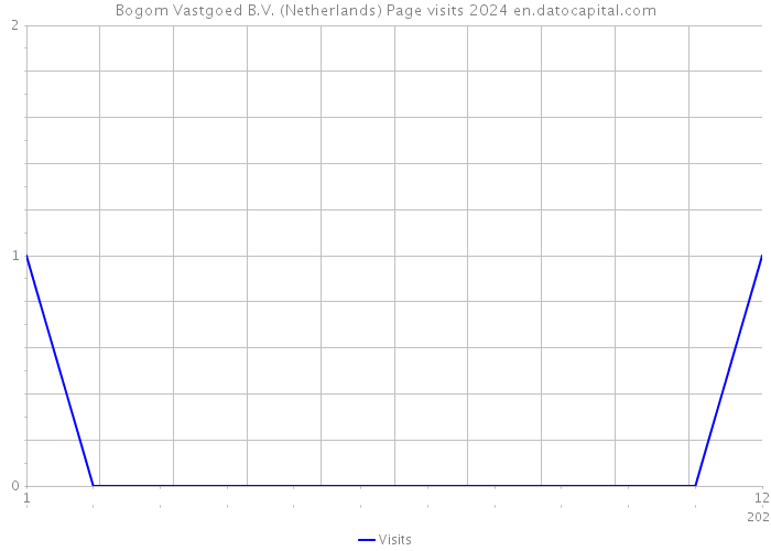 Bogom Vastgoed B.V. (Netherlands) Page visits 2024 