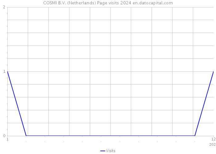 COSMI B.V. (Netherlands) Page visits 2024 
