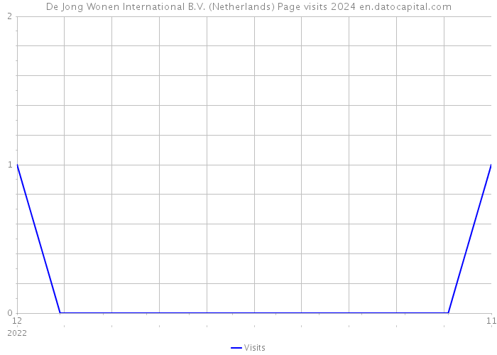 De Jong Wonen International B.V. (Netherlands) Page visits 2024 