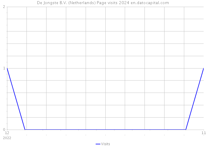 De Jongste B.V. (Netherlands) Page visits 2024 