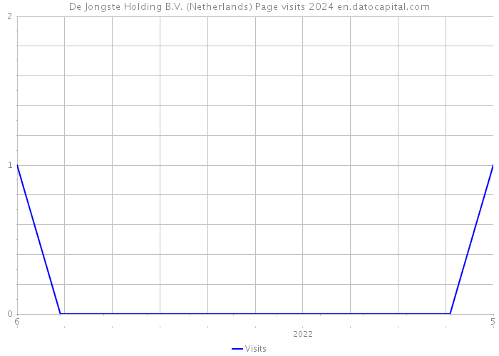 De Jongste Holding B.V. (Netherlands) Page visits 2024 