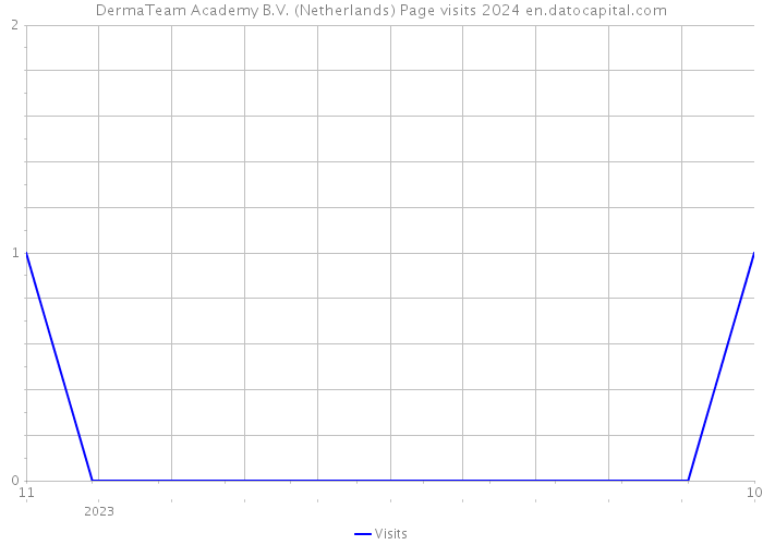 DermaTeam Academy B.V. (Netherlands) Page visits 2024 