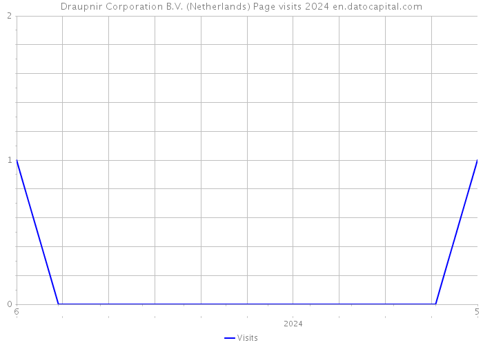 Draupnir Corporation B.V. (Netherlands) Page visits 2024 