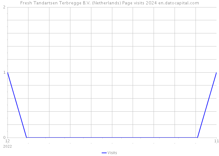 Fresh Tandartsen Terbregge B.V. (Netherlands) Page visits 2024 