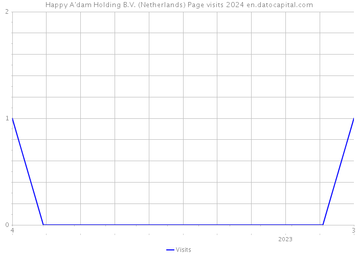 Happy A'dam Holding B.V. (Netherlands) Page visits 2024 