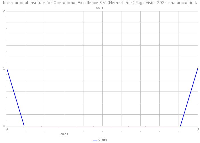 International Institute for Operational Excellence B.V. (Netherlands) Page visits 2024 