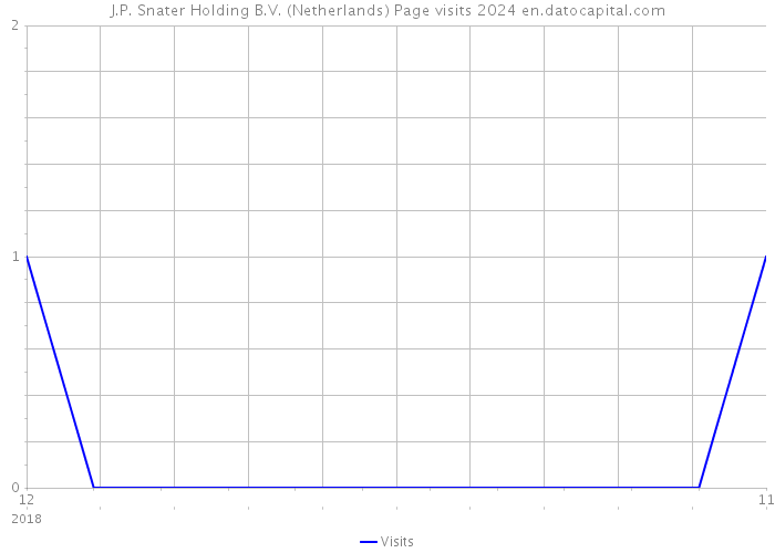 J.P. Snater Holding B.V. (Netherlands) Page visits 2024 