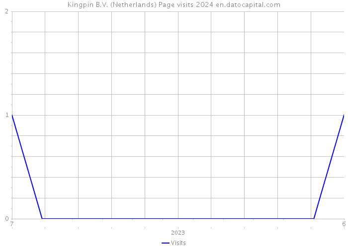 Kingpin B.V. (Netherlands) Page visits 2024 
