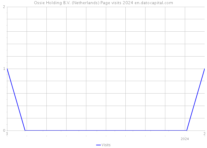 Ossie Holding B.V. (Netherlands) Page visits 2024 