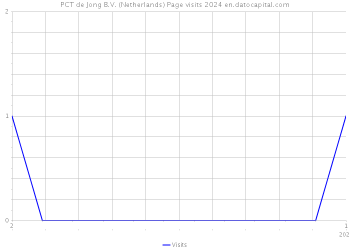 PCT de Jong B.V. (Netherlands) Page visits 2024 