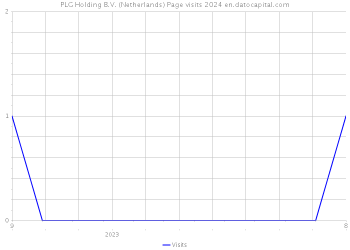 PLG Holding B.V. (Netherlands) Page visits 2024 