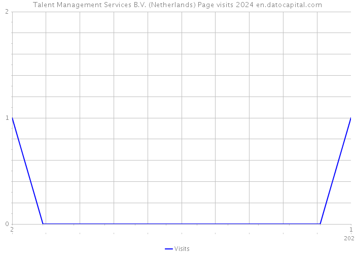 Talent Management Services B.V. (Netherlands) Page visits 2024 