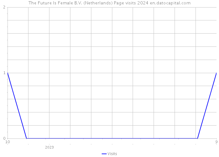 The Future Is Female B.V. (Netherlands) Page visits 2024 