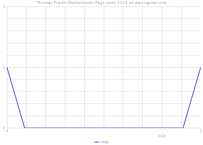 Thomas Pracht (Netherlands) Page visits 2024 