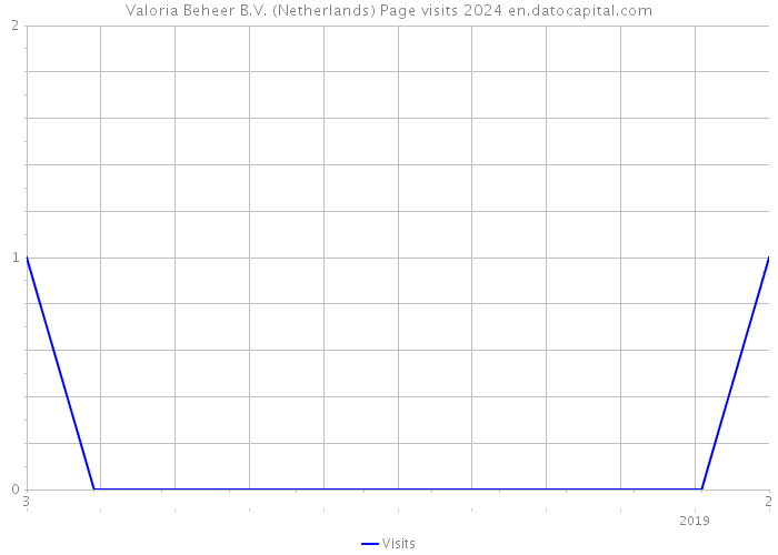 Valoria Beheer B.V. (Netherlands) Page visits 2024 
