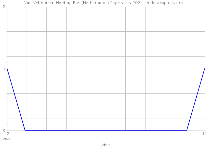 Van Velthuizen Holding B.V. (Netherlands) Page visits 2024 
