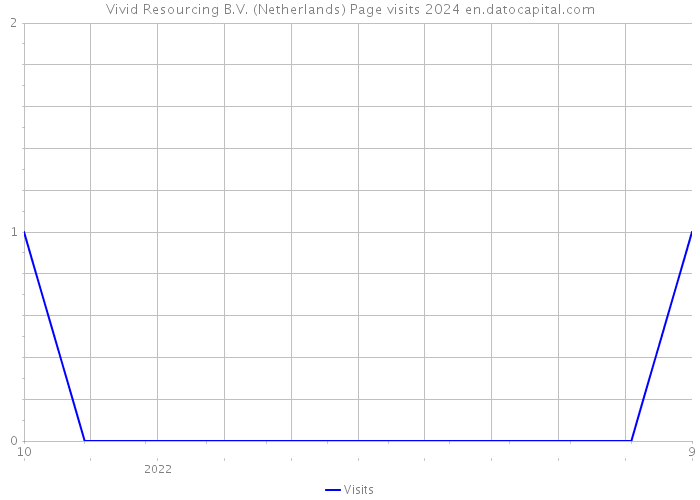 Vivid Resourcing B.V. (Netherlands) Page visits 2024 