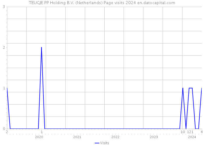 TEUGJE PP Holding B.V. (Netherlands) Page visits 2024 