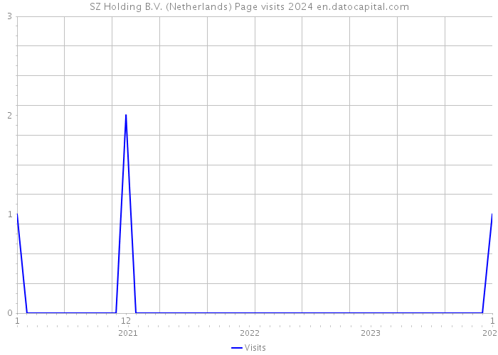 SZ Holding B.V. (Netherlands) Page visits 2024 