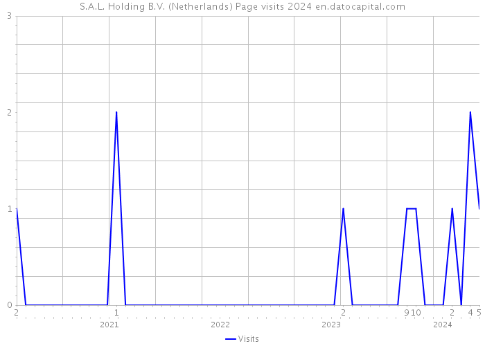 S.A.L. Holding B.V. (Netherlands) Page visits 2024 