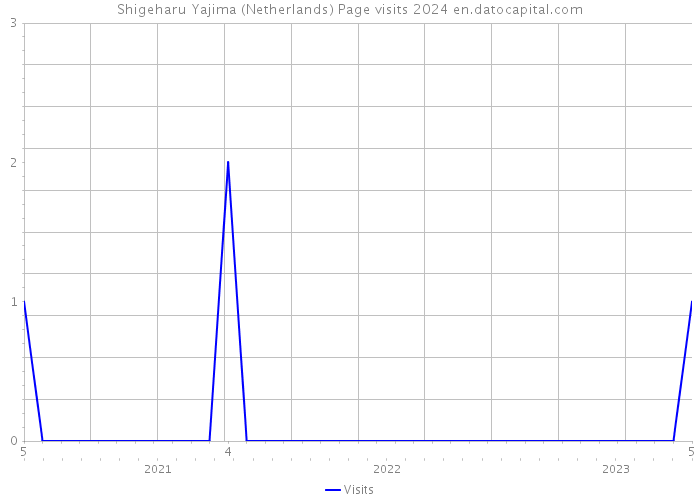 Shigeharu Yajima (Netherlands) Page visits 2024 