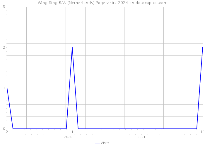 Wing Sing B.V. (Netherlands) Page visits 2024 