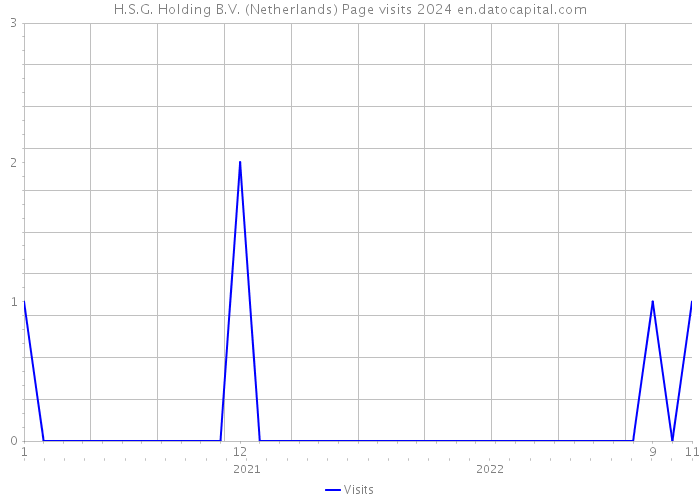 H.S.G. Holding B.V. (Netherlands) Page visits 2024 