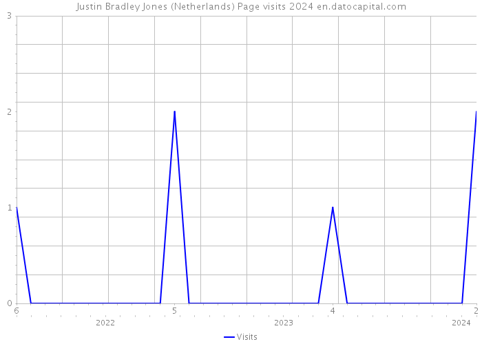 Justin Bradley Jones (Netherlands) Page visits 2024 