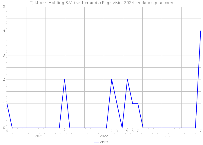 Tjikhoeri Holding B.V. (Netherlands) Page visits 2024 