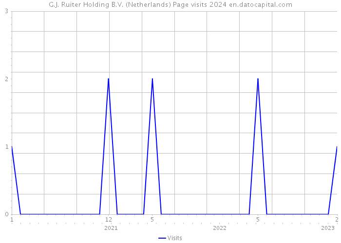 G.J. Ruiter Holding B.V. (Netherlands) Page visits 2024 