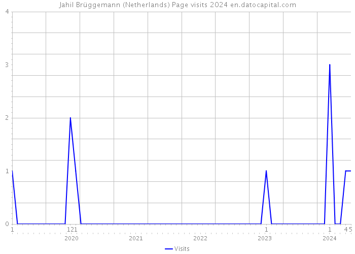 Jahil Brüggemann (Netherlands) Page visits 2024 