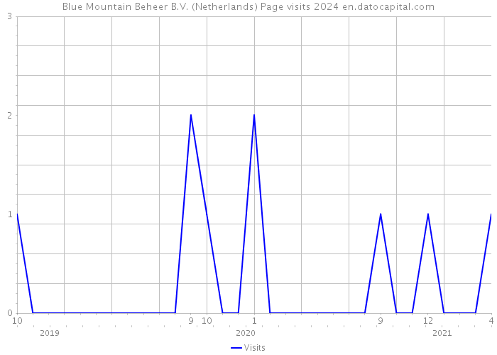 Blue Mountain Beheer B.V. (Netherlands) Page visits 2024 