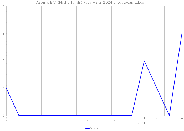 Asterix B.V. (Netherlands) Page visits 2024 