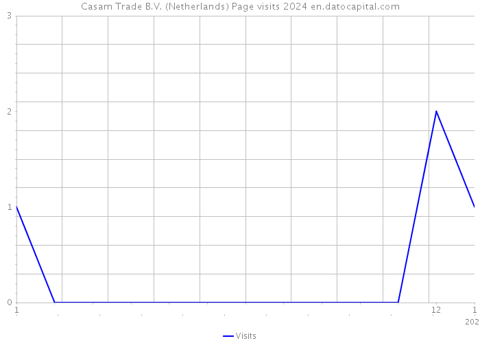 Casam Trade B.V. (Netherlands) Page visits 2024 