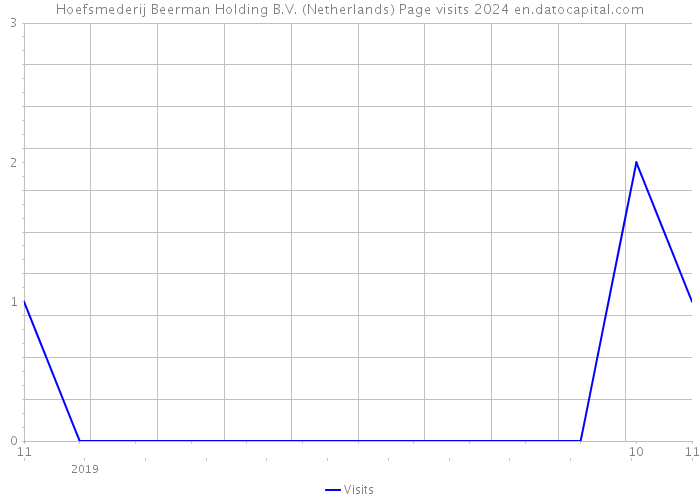 Hoefsmederij Beerman Holding B.V. (Netherlands) Page visits 2024 
