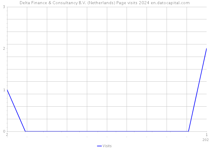 Delta Finance & Consultancy B.V. (Netherlands) Page visits 2024 