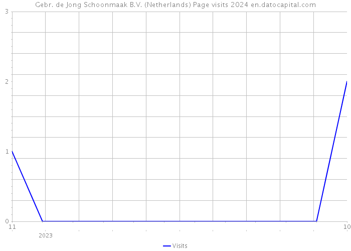 Gebr. de Jong Schoonmaak B.V. (Netherlands) Page visits 2024 
