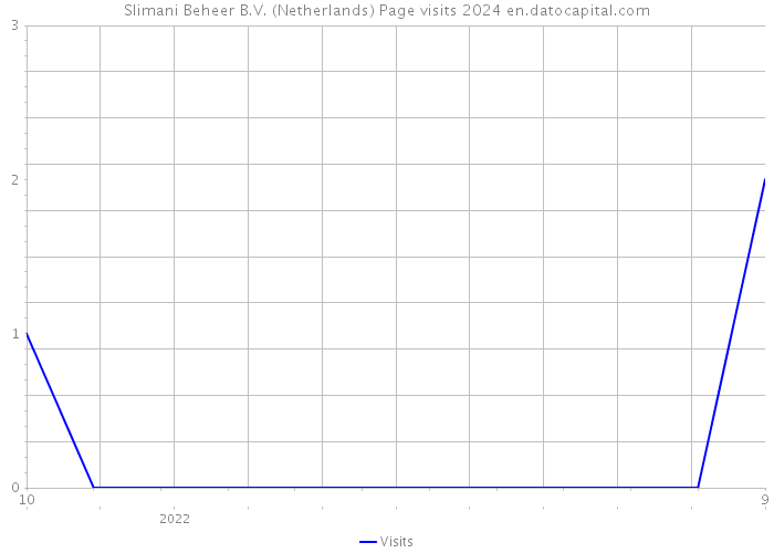 Slimani Beheer B.V. (Netherlands) Page visits 2024 