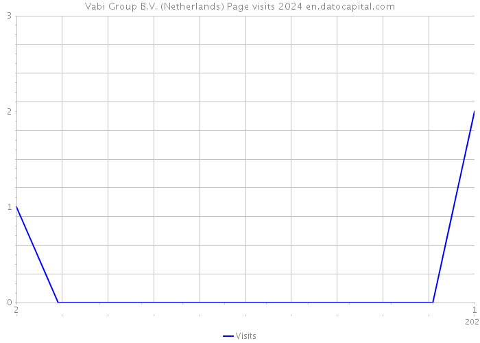 Vabi Group B.V. (Netherlands) Page visits 2024 