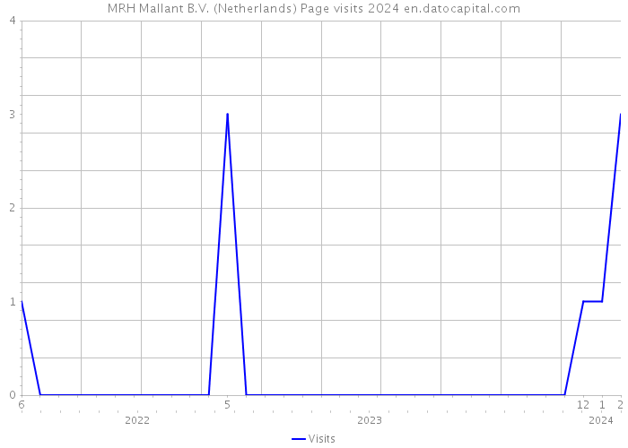 MRH Mallant B.V. (Netherlands) Page visits 2024 