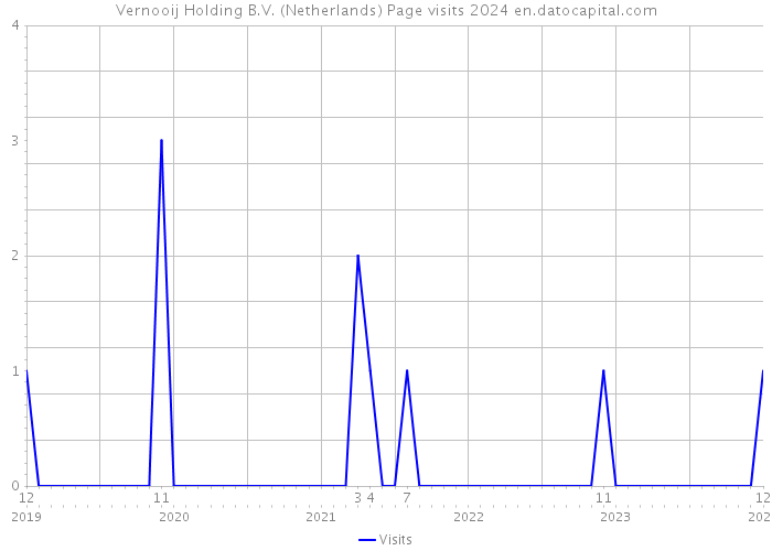 Vernooij Holding B.V. (Netherlands) Page visits 2024 