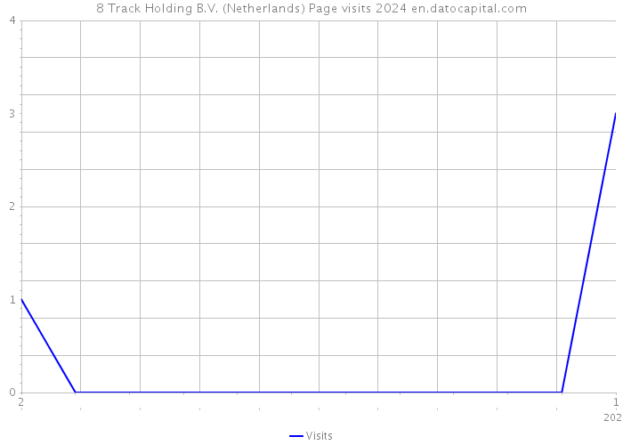 8 Track Holding B.V. (Netherlands) Page visits 2024 