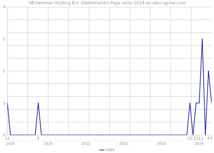 HB Hemmer Holding B.V. (Netherlands) Page visits 2024 