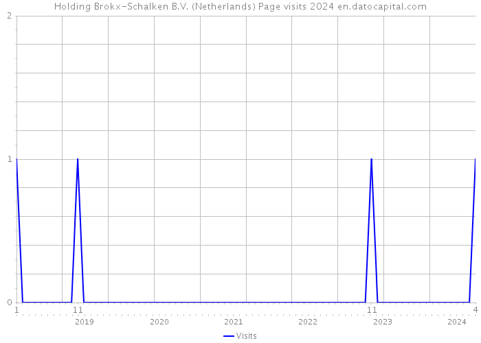 Holding Brokx-Schalken B.V. (Netherlands) Page visits 2024 