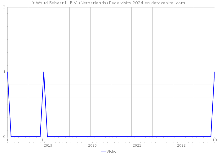 't Woud Beheer III B.V. (Netherlands) Page visits 2024 