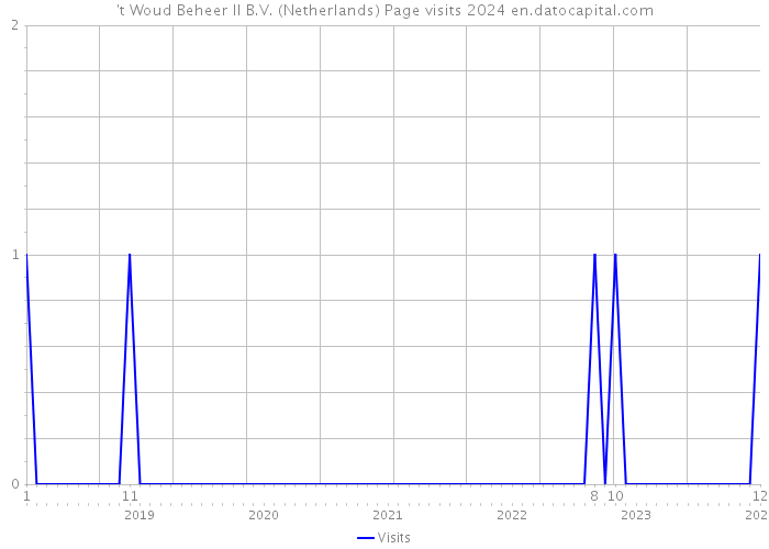 't Woud Beheer II B.V. (Netherlands) Page visits 2024 