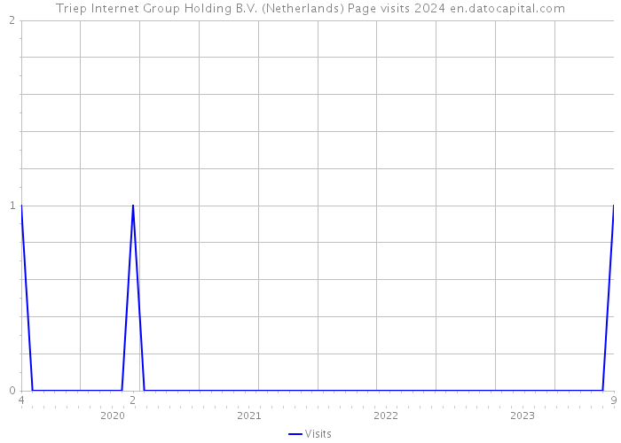 Triep Internet Group Holding B.V. (Netherlands) Page visits 2024 